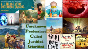 Pre-existence, Earthly Journey And Glorification