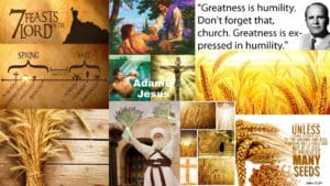 Sheaf Of The First Fruits