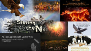 As The Eagle Stirreth Up Her Nest