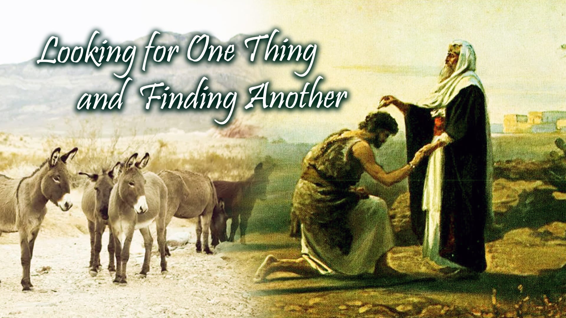 Looking For One Thing And Finding Another episode artwork