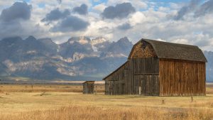 The Hidden Power In The Stored Food