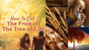 How To Eat The Fruit Of The Tree Of Life?