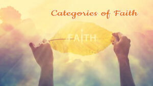 Categories Of Faith