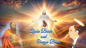 Alpha Bride and Omega Bride