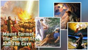 Mount Carmel, The Juniper Tree And The Cave