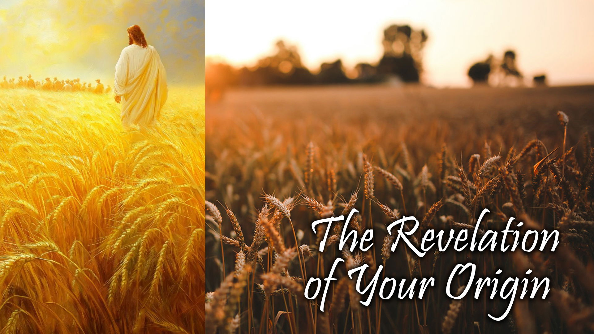 The Revelation Of Your Origin The Revelation Of Your Origin