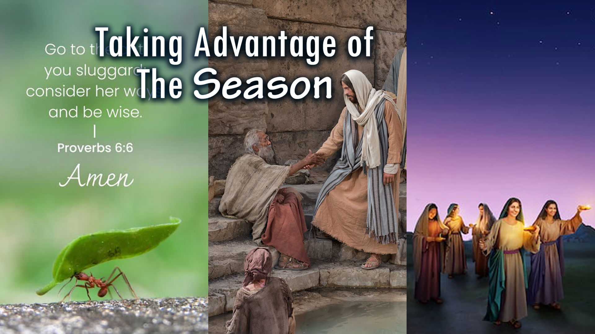 Taking Advantage Of The Season Taking Advantage Of The Season